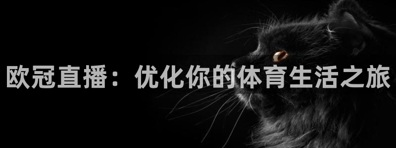 欧冠直播：优化你的体育生活之旅