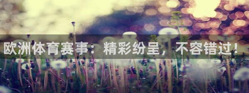 欧洲体育赛事：精彩纷呈，不容错过！