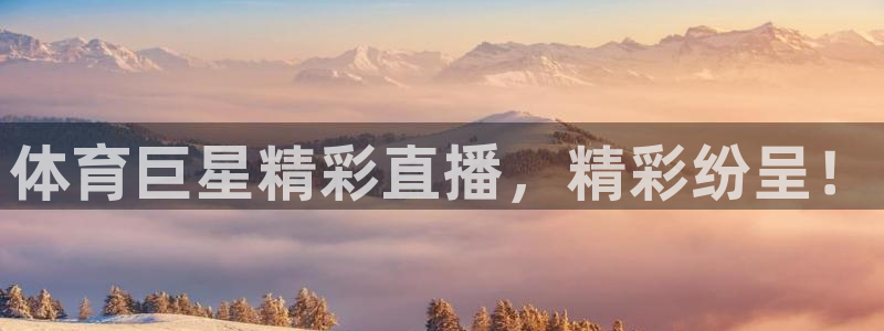 体育巨星精彩直播，精彩纷呈！