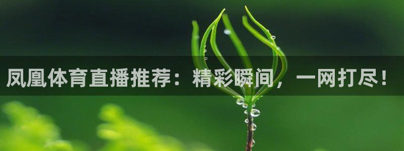 凤凰体育直播推荐：精彩瞬间，一网打尽！