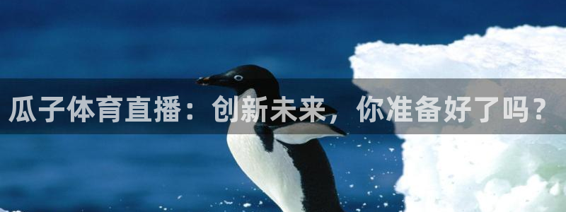 瓜子体育直播：创新未来，你准备好了吗？